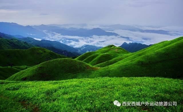 危险的社会